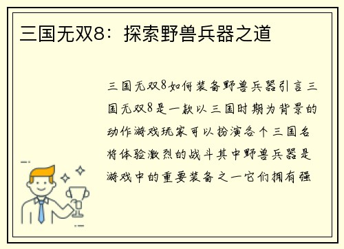 三国无双8：探索野兽兵器之道